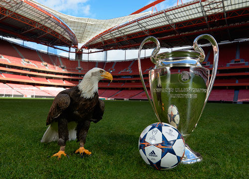 黄蜂伤病报告：三球&塞克斯顿&曼恩集体缺席与掘金一战